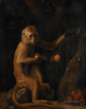 Animal Painting - George Stubbs A Monkey